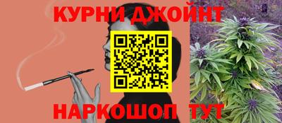 гашик Новодвинск