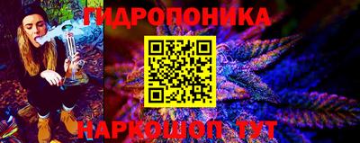 гашик Новодвинск
