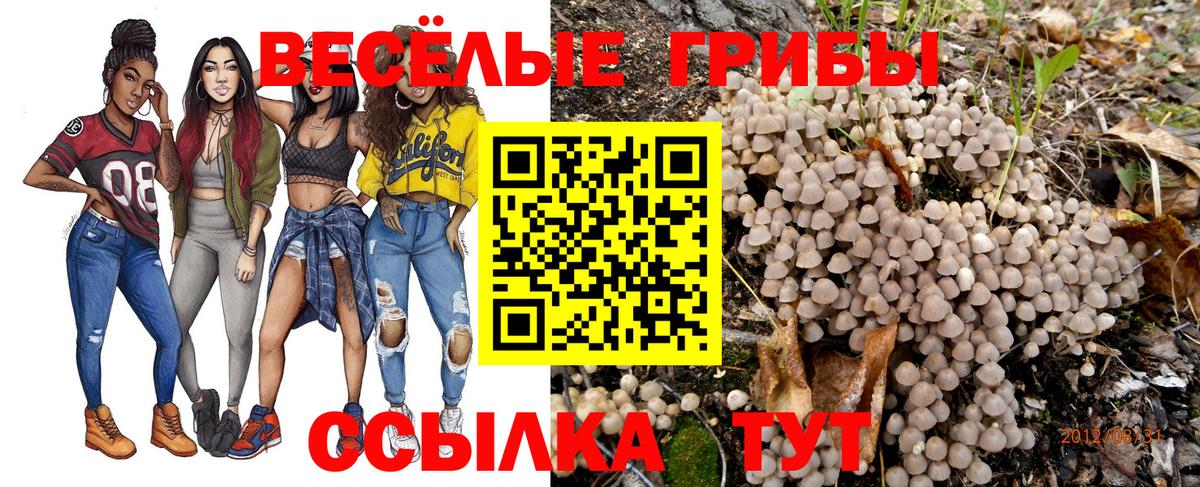 Псилоцибиновые грибы Psilocybe  Вход с VPN  Рыбинск 