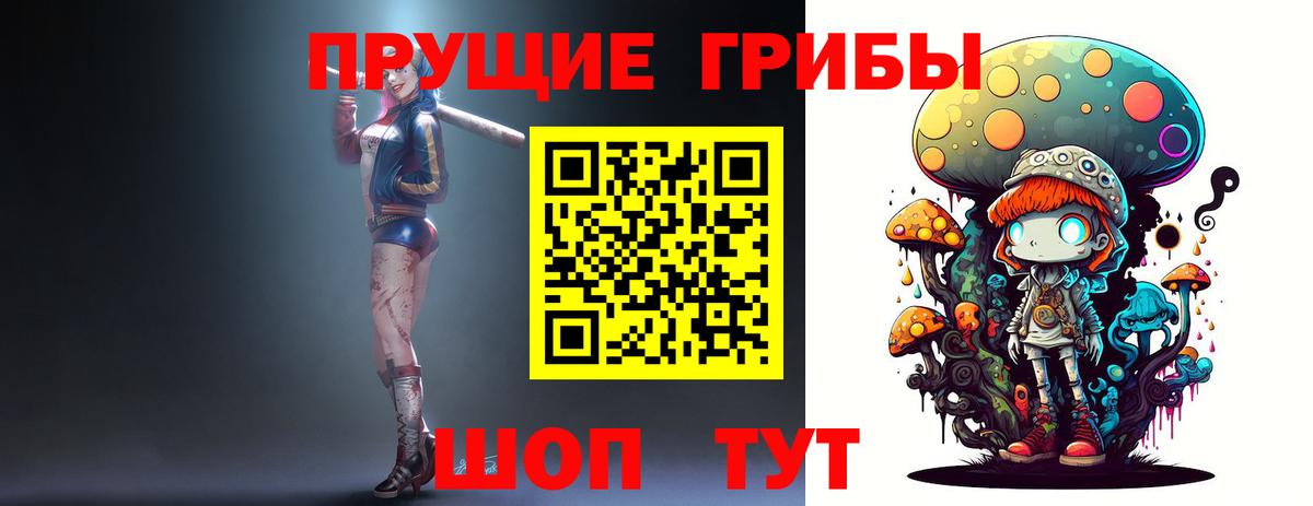 Псилоцибиновые грибы Psilocybe Рыбинск